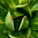 꿈의궁전 이미지