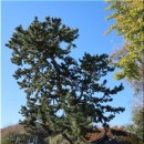 덕신교차로 이미지