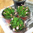 부산댕겨왔어예 이미지