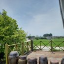 하늘땅바람 | 고창 심원 하늘땅물바람 패밀리레스토랑, 예약제로 즐기는 치즈폭발! 치즈돈까스 맛집 내돈내산