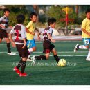 서울청량초등학교 이미지