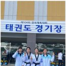 한국체대영우태권도