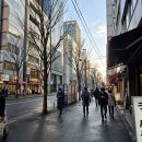 반디약국 | 일본 여행 추천템 약 챙기고 다녀와서 정리한 필수품 가이드