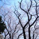 함벽정涵碧亭 이미지