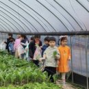 다온태권도장 이미지