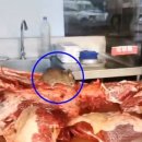 중국 전통만두 전문점 이미지