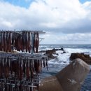 단국대 MTA 태권도 이미지