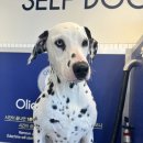 올리스24 명지점 이미지