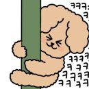 근덕명품찹쌀꽈배기 이미지