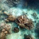 산호 A | 파타야 산호섬 자유여행 숙박한 후기, 나반 선착장