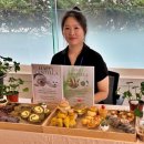 해피병풀 이미지