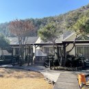 강애산애 이미지