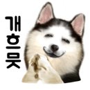 나누리팜 이미지