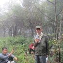 동산1리 이미지