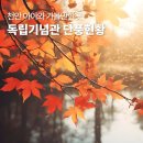청산 단풍나무길 | 천안 아이와 가볼만한곳 독립기념관 단풍나무숲길 실시간 독립부릉이 후기
