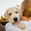 영통한의원 이미지