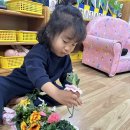 드림오즈-이상한 나라의 앨리스 이미지