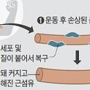 짐410 네이버블로그