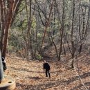 [경기] 시흥 미니포크레인 화성 오산 동탄 미니포크레인 , 찬솔건설중기