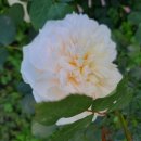 달욱농장 이미지