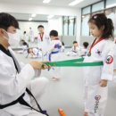 즐거운세종태권도장 이미지