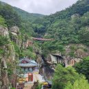 대가연꽃테마공원 이미지