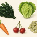 밤에 뒤척이는 사람 주목…저녁에 먹으면 &#39;꿀잠&#39; 자는 음식 5가지 이미지