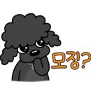 표나개 반려애견 미용실 이미지