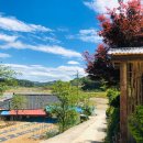 강가요가 이미지