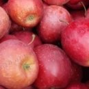 청양농장 이미지