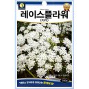 다농플라워