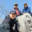 제256차 飛鳳山(579m) 3.15(金)金曜山行 이미지