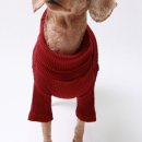 우리퍼피 이미지