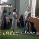 퍼피포레스트 네이버블로그