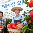안정문농장 네이버블로그