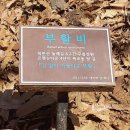 은평-079 티스토리
