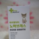 강아지 감기, 강아지 기침에 마이펫닥터 노하브레스