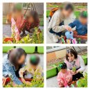 예다미어린이집 이미지