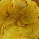 치자로 물들이기 이미지