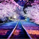 서귀포시청 환경미화원 노동조합 | 환경미화원 노조 별도 단체교섭 가능