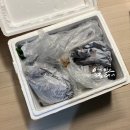 용호스포츠