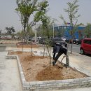 기아클리닉 이미지