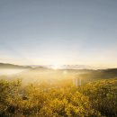 서일교정형외과의원 이미지