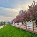 들성생태공원 이미지