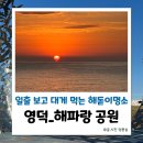 영덕대게거리 | 영덕 해돋이 명소 해파랑 공원 일출 후기 , 대게거리 영업시간
