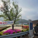 북새통 티스토리