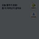 뽑기뱅크 이미지