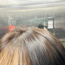 시가지도 | 전주신시가지미용실 기장추가 없는 미용실 모즈토리 찐 후기