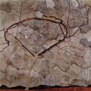 작은나무숲 이미지