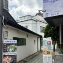어르신들이 인정한 만두 맛집 &#39;청산손만두&#39; 내돈내산 솔직후기(쟁반 모밀, 짬뽕만두국, 튀긴 만두 리뷰)